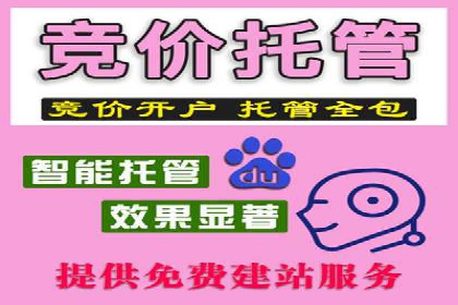 揭秘成功的关键词竞价排名背后的策略与执行